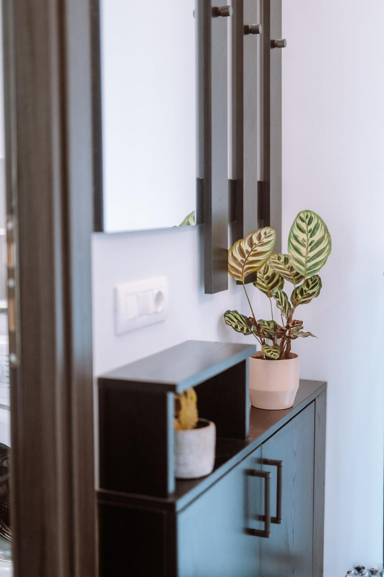Louisa Luxury Apartments 프레베자 외부 사진